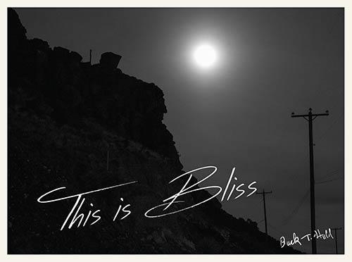 "This is Bliss" | Feb. 8-March 16